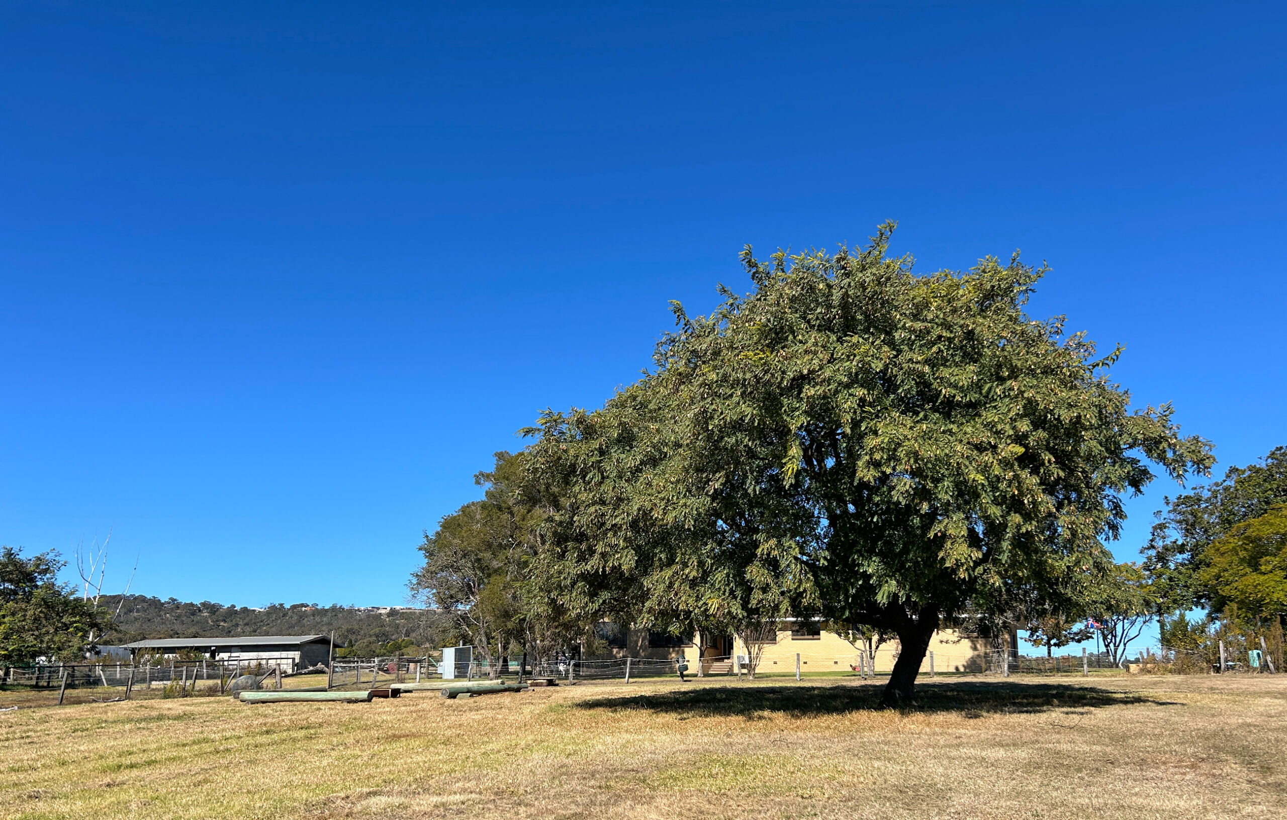 MiChoice Supports - Countryside Acres Meeting Tree